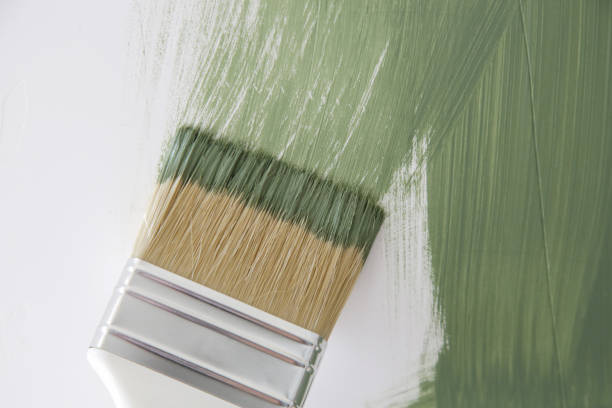 Best Commercial Mold Inspection  in Walnut Ridge, AR