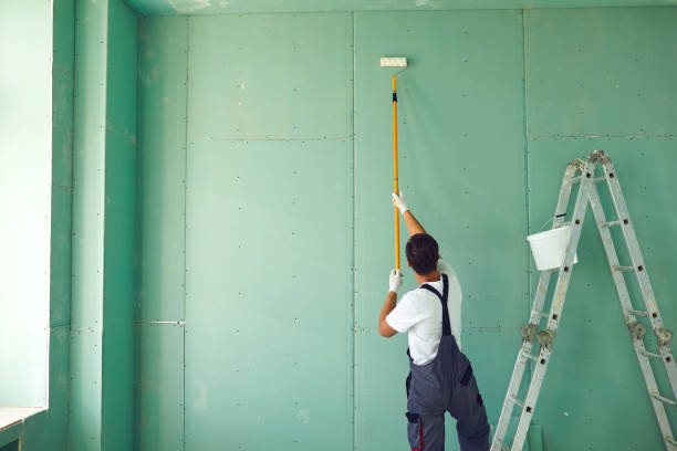 Best Comprehensive Air Testing for Mold Contaminants  in Walnut Ridge, AR