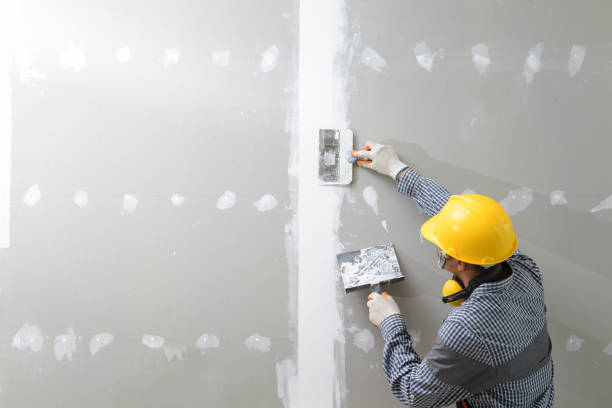 Best Crawl Space Mold Remediation  in Walnut Ridge, AR
