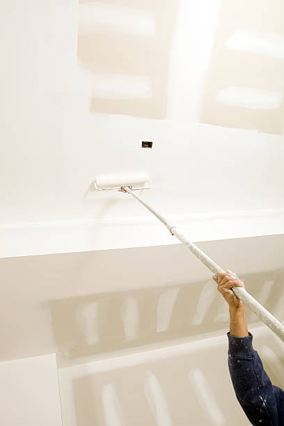 Trusted Walnut Ridge, AR Mold Removal Experts