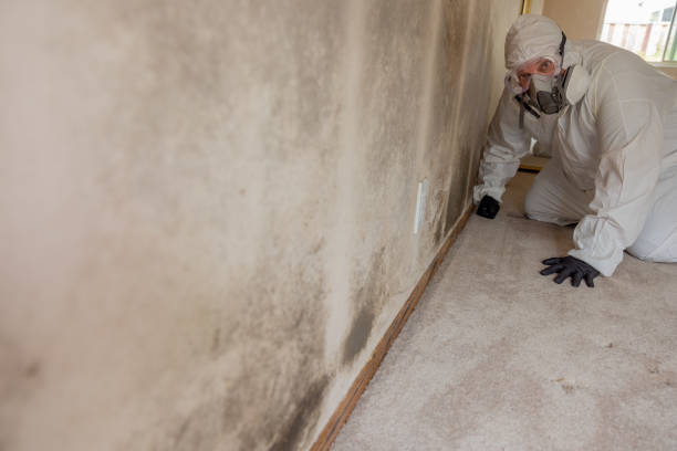 Best Biohazard Mold Removal  in Walnut Ridge, AR