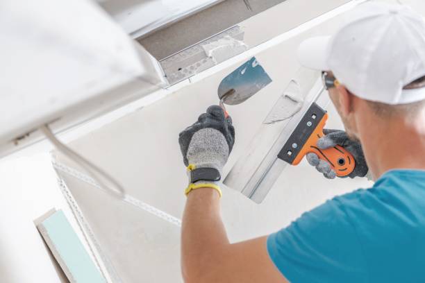 Best Mold-Related Health Consultation  in Walnut Ridge, AR